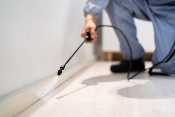 Licensed Fumigation Services service in Groveton, VA - Nex Pest Control