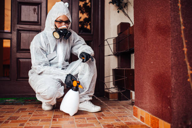 Reliable Fumigation Services contractor in Groveton, VA by Nex Pest Control
