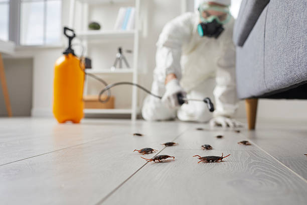 Trusted Fumigation Services service in Groveton, VA - Nex Pest Control